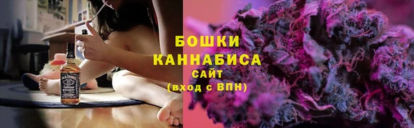 spice Дмитриев