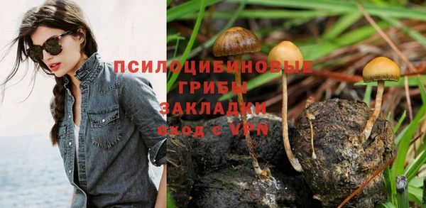 таблы Арсеньев