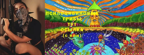 таблы Арсеньев