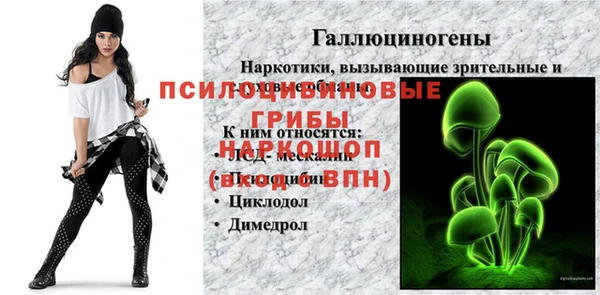 таблы Арсеньев