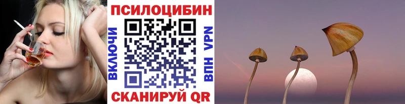 дарнет шоп  Новоузенск  Галлюциногенные грибы прущие грибы 